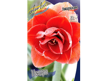 335,7���. ��������� �����(�������� ���� �� 1 ��., ����������� ����� 1��.).jpg