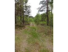 IMG 20160522 142853.jpg