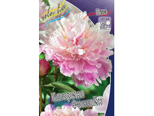 216,9���. ���� �������� �������(�������� ���� �� 1 ��., ����������� ����� 1��.).jpg