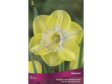 ������� ������.jpg