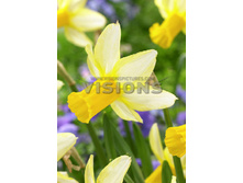 21,3���. ������� ����� ���(��� 10 ��. ���������� ������ 5��.)���16.jpg