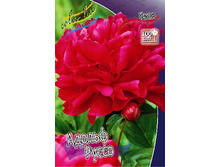 200���. ���� ������ �����(�������� ���� �� 1 ��., ����������� ����� 1��.).jpg