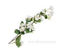 3661864017268 ����� ������������� ������, 74�� 120 399,05.jpg