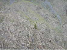 DSCN1336.jpg