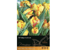 ������� ��������.jpg