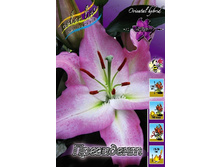 37���. ����� ���������(��� 5 ��. ���������� ������ 2 ��� 3 ��.).jpg