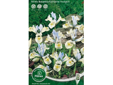 ���� �������� �������.jpg