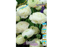 10,44���. ���������� �����(���������� ������ ������ ���������� �� 10 ��.).jpg