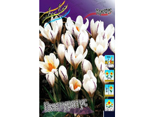 32,3���. ������ ���������� (����.)(��� 5 ��. ���������� ������ 2 ��� 3 ��.).jpg