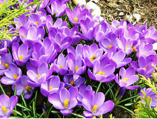 ������ ����������.jpg