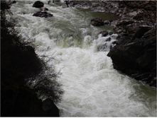 DSCN1457.jpg