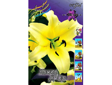 23,6���. ����� ����� � ��(��� 7 ��. ���������� ������ 3 ��� 4 ��.).jpg