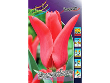 18,5���. ������� ����������(��� 10 ��. ���������� ������ 5��.).jpg