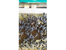 20160528 170502[1].jpg