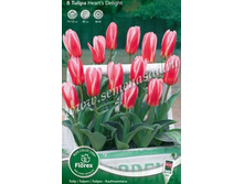 ������� ���'� ������.jpg