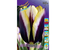 15,69���. ������� ������(��� 10 ��. ���������� ������ 5��.).jpg