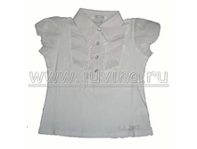 630247 �����	114-146	������ 95%, ������� 5%	242,5