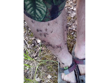 IMG 20160522 145343.jpg