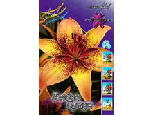 34,3���. ����� ������ �����(��� 5 ��. ���������� ������ 2 ��� 3 ��.).jpg