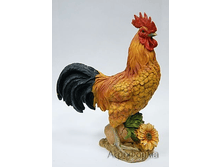 ����� �� ����� � ����������� ��0---113