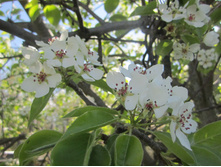 ����� 011.jpg