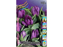 17,56���. ������� ����� ���(��� 10 ��. ���������� ������ 5��.).jpg