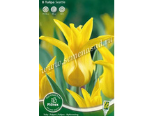 ������� ������� ����.jpg