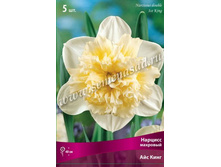 ������� ��� ����.jpg