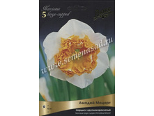 ������� ������ ������.jpg