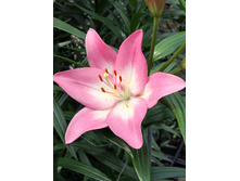 23,6���. ����� ������(��� 7 ��. ���������� ������ 3 ��� 4 ��.)���16.jpg