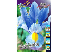 11���. ���� ����. ���� �����(���������� ������ ������ ���������� �� 10 ��.).jpg