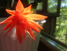 �������������