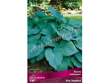 ����� ��������� ��� ������.jpg