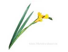 3760169244574 ������ ������������� ������, 60�� 144 269,1.jpg