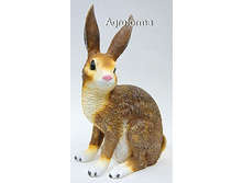 ���� �����