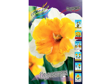 18,5���. ������� ���������(��� 10 ��. ���������� ������ 5��.).jpg