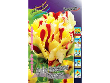 64,16���. ������� ���� ������� ������(�������� ���� �� 5 ��., ����������� ����� 1��.).jpg