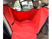 ��������� � ����������.jpg