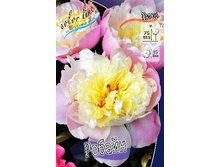 191,5���. ���� ������(�������� ���� �� 1 ��., ����������� ����� 1��.).jpg