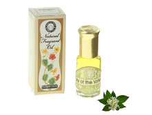 ����-�����- ��� ����������� ���������� ��������. ���������� � ��� ������ ������ ����� ���� ����� ����������� � ��������������.    ��������:  ���������� �������� �������� ����� ������ ������ � ���������. ��������� ��������� ������� �� �� ���������� �������