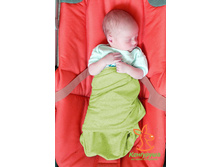 ����-������� ��������� (��������)