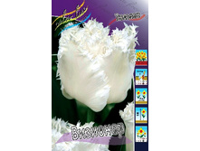 19,43���. ������� ��������(��� 10 ��. ���������� ������ 5��.).jpg