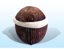 �����-����-������� 169 ���