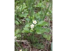 IMG 20160522 163712.jpg