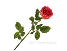 4606500502288 ������ ������������� ���� ������, 71�� 192 508,3.jpg