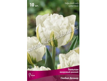 ������� ������ ������.jpg