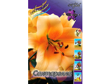 31,48���. ����� ����������(��� 6 ��. ���������� ������ 2 ��� 3 ��.).jpg