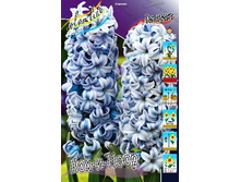 41,68���. ������� ���-�-����(�������� ���� �� 5 ��., ����������� ����� 1��.).jpg