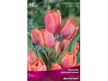 ������� ������ ����.jpg