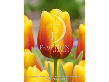 18,31���. ������� ���(��� 10 ��. ���������� ������ 5��.)���16.jpg